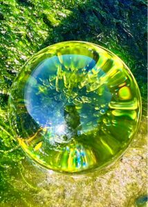 Hele den grønne tangverden på den omgivende strand er samlet i glaskuglen