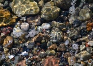 Sten i vandet ved stranden, lyset spiller smuk mod stenene gennem vandets reflektioner