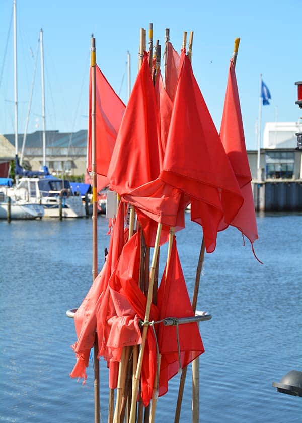 De flotte røde flag på fiskernes bøjer gør dem nemt at finde på havet - her udgør de en flot kontrast til omgivelserne