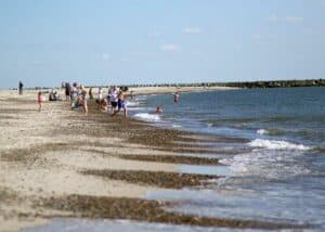 Sol, sommer og varme, familierne er ved stranden for at nyde det gode vejr, og for at dyppe tæerne i vandet