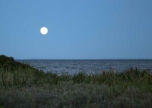 Sommeraften ved fjorden månen står kuglerund og flot lysende over Ringkøbing fjords rolige vand