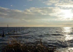 Tidlig morgen ved fjorden, en frisk vind fyger over vandene, bundgarnene strækker sig mod syd så langt øjet rækker
